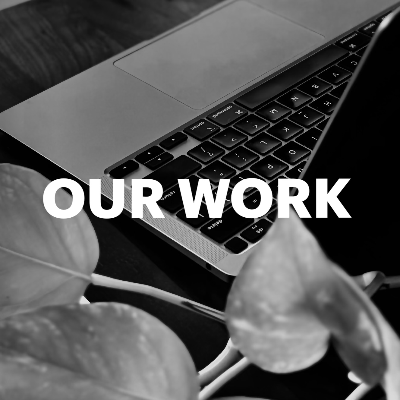 Our Work