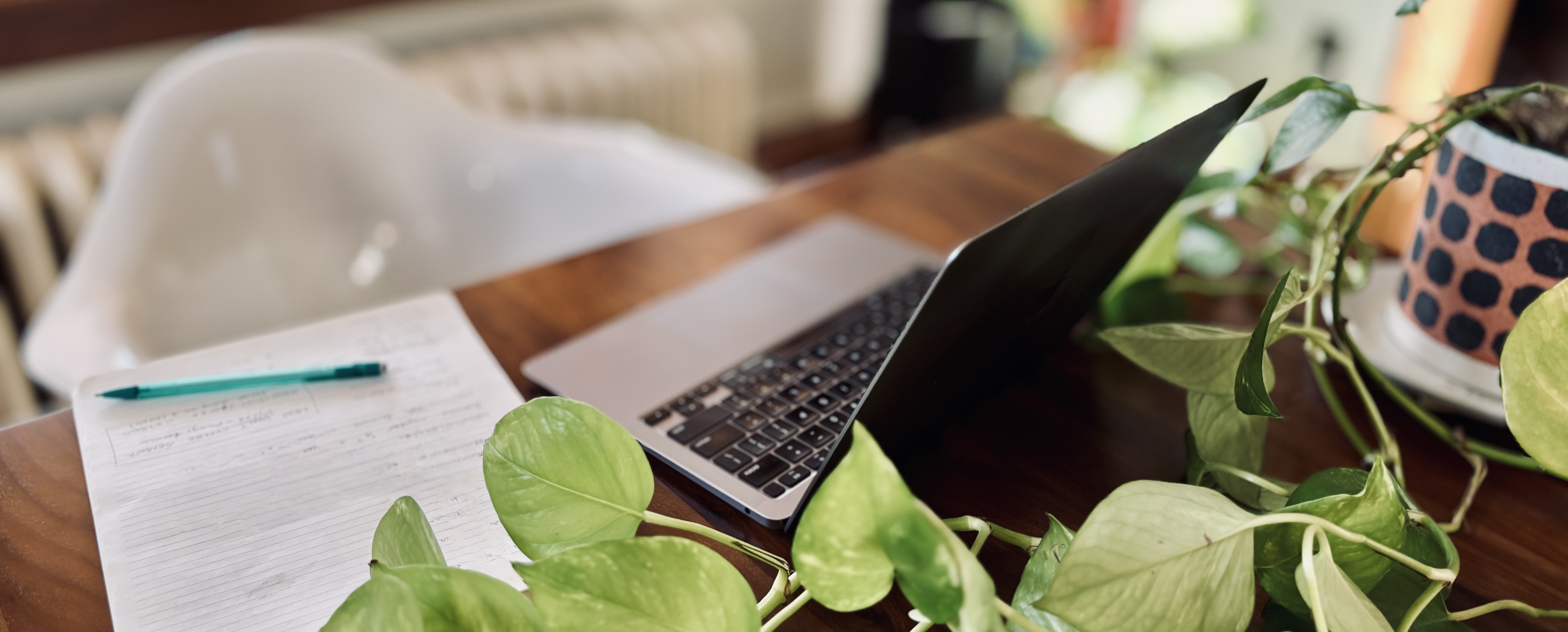 PYT Group Hero Image